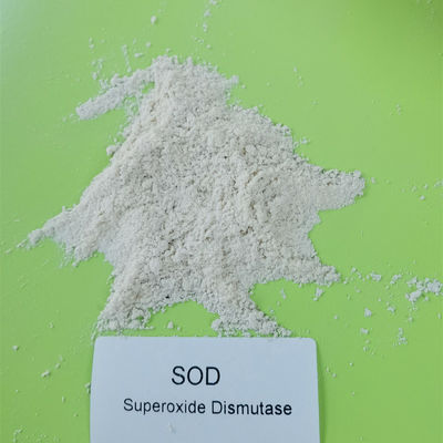 Dismutase du superoxyde 50000iu/g de CAS 9054-89-1 anti-vieillissement