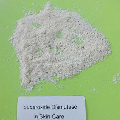 Dismutase microbienne de superoxyde de fermentation en cosmétiques 9054-89-1