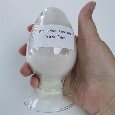 En blanchissant l'anti dismutase de superoxyde de ride saupoudrez CAS 9054-89-1