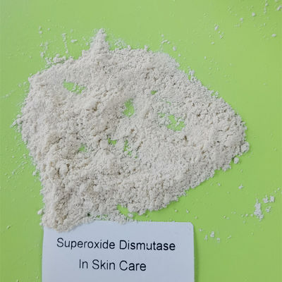 En blanchissant l'anti dismutase de superoxyde de ride saupoudrez CAS 9054-89-1