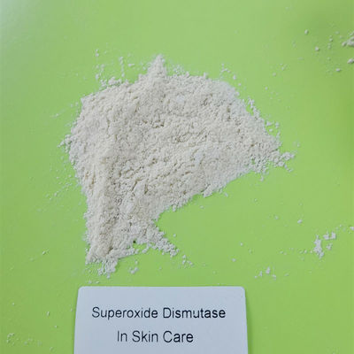Dismutase de superoxyde de matière première de soins de la peau en cosmétiques 50000IU/g