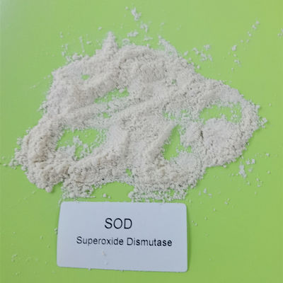 Dismutase microbienne de superoxyde d'extraction de la pureté 99% en cosmétiques CAS 9054-89-1